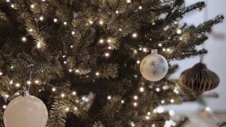 Vbi Nieuwsbericht Feestdagen 2025 500x285px